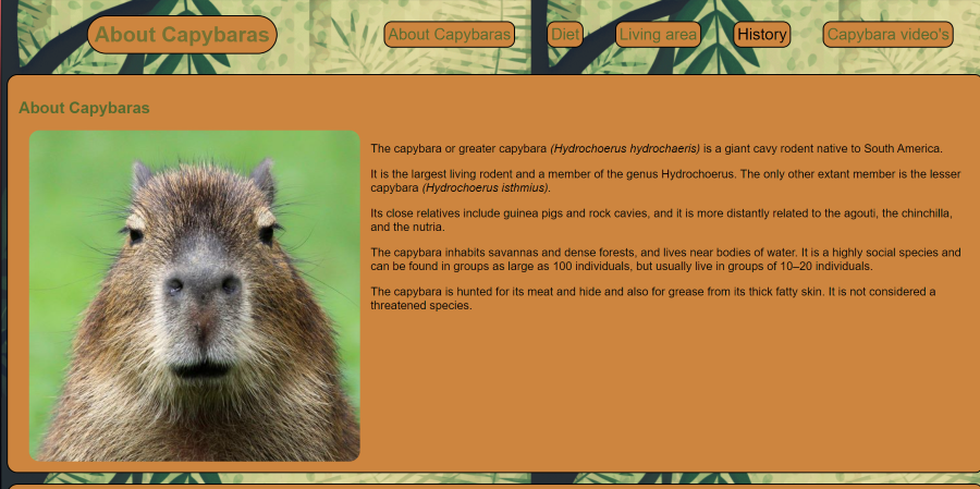 screenshot of the capybara website